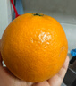 京鲜生 爱媛果冻橙 5斤装 单果150g起 生鲜水果礼盒 实拍图