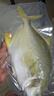 翔泰海南二去金鲳鱼700g/2条  去鳃去内脏烧烤生鲜鱼类  海鲜水产  实拍图