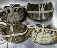 【活蟹】蟹宗大闸蟹鲜活螃蟹现货公5.8-6.1两母3.8-4.1两4对8只海鲜生鲜节日送礼礼盒 实拍图