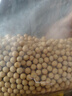 柴火大院 黄豆2斤（杂粮 打豆浆专用 东北大豆 粗粮  粥米搭档） 实拍图
