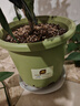 史丹利花盆家用树脂塑料盆栽加厚多肉月季阳台庭院加仑盆苹果绿高197mm 实拍图