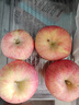 阿克苏苹果新疆阿克苏冰糖心苹果新鲜时令水果礼盒红富士丑苹果 10斤特级果75-90mm 净重8.5斤以上 实拍图