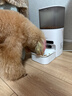 霍曼（Homerun）AI智能宠物自动喂食器视频版 猫狗喂食定时定量摄像头可视 可插卡 实拍图