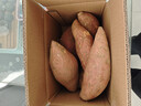 京鲜生生鲜馆山东烟薯25号蜜薯 净重3斤 中果150g+ 烤地瓜 源头直发包邮 实拍图