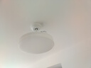 欧普（OPPLE）风扇灯客厅餐厅卧室简约带LED风扇 高显色隐形升级风量吊扇灯 升级Ⅱ代【36寸】36瓦照明-白色 实拍图
