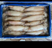 卖鱼七郎全籽笔管鱼净重1.8斤鱿鱼海兔子籽乌满籽带籽火锅食材软足类海鲜 实拍图