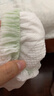 babycare山茶轻柔婴儿拉拉裤试用装XL码3片+小N卫生巾240mm*1片*4包 实拍图