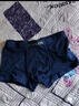 金利来男士内裤男7A级抗菌纯棉平角裤男秋冬吸湿透气四角短裤男 实拍图