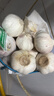 【百万单爆品】紫白皮蒜水果大蒜超市生鲜蔬菜调料即食蒜 大蒜 500g 单果3.5-5cm 实拍图