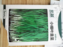北蔬 韭菜种子苗小叶一年四季南北方家庭阳台菜籽 小细叶韭菜种子10g 实拍图