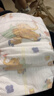 弗尼小象拉拉裤 婴幼儿超薄干爽夏季透气尿不湿 拉拉裤L码 46片（9-14kg） 实拍图