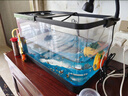 阔庭（KUOTING）鱼缸一体缸自循环免换水鱼缸家用小型桌面鱼缸生态鱼缸小鱼缸黑色 实拍图