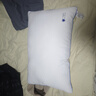 京东京造 不怕头油大白枕 A类抗菌纤维柔软颈椎枕家用成人枕头枕芯 单枕 实拍图