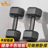 华亚（HUAYA） 哑铃环保包胶六角手铃男士家用健身器材 10KG 一对（5KG*2只） 实拍图