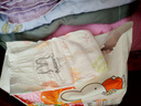 solove米菲小花园2.0亲肤透气训练裤XL码32片(12-17kg)超薄拉拉裤单包 实拍图
