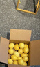 京鲜生 安岳黄柠檬16粒 单果95g-120g 生鲜水果 实拍图