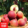 山东青州蜜桃脆甜桃子新鲜水果青毛桃水蜜桃秋桃冬桃-鲜集 青州蜜桃带箱5斤 实拍图