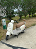 台铃电动摩托车72V21AH石墨烯铅酸长续航踏板智能两轮电瓶车 米洛棕丨72V21A石墨烯铅酸 实拍图