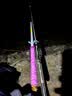 达亿瓦（DAIWA） DAIWA 21天岭 SS Q轻量鲫鱼竿振出式钓鱼竿手竿高碳轻量钓竿长尺 53 实拍图