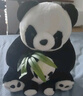 熊猫熊小熊猫玩偶儿童毛绒玩具娃娃花花大公仔生日礼物陪睡布娃娃抱抱熊 实拍图