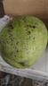 三亚芒果  海南芒果新鲜水果生鲜整箱当季大青皮芒 热带孕妇芒果 5斤装(净果4.5斤)单果200-500g+ 实拍图