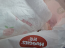 好奇（Huggies）铂金装小桃裤成长裤L120片(9-14kg)大号尿不湿拉拉裤【透爽散热】 实拍图