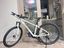 喜德盛山地自行车黑客700铝合金车架24速变速油压碟刹运动健身休闲单车 冷黄/灰（2026款） 15.5寸（适合身高155-170cm） 实拍图