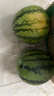 京鲜生 无籽麒麟西瓜 1粒装 单果5-7斤 生鲜水果 实拍图