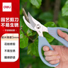 得力（deli）园艺剪刀修剪树枝花艺盆栽剪 家用鲜花插花专用剪刀 绿箩绿植花卉果树 77752 蓝色 实拍图