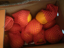 京鲜生 爱媛果冻橙 10斤装 单果150g起 生鲜水果桔子礼盒 实拍图