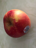 新西兰红玫瑰苹果进口queen苹果脆甜新鲜水果10个大标签随机 10个（单果115-130g） 实拍图