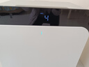 布鲁雅尔（Blueair）空气净化器除甲醛新房急入住家用卧室除烟味异味吸猫毛净化机303＋380IF升级款CP7i家电国家补贴 实拍图