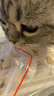 亿迪 冻干零食鸡胸肉猫狗宠物1斤桶装主食幼猫成猫营养天然国产 实拍图