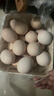 京鲜生富硒鲜鸡蛋30枚 3斤 源头直发 实拍图