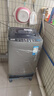 志高（CHIGO）全自动洗衣机 家用小型波轮 洗脱一体机大容量 公寓宿舍出租房 10KG咖啡金【蓝光洗护+风干洁桶+强电机】 实拍图