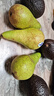 京鲜生微催熟 啤梨500g+牛油果500g   生鲜水果 源头直发 实拍图