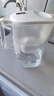 碧然德（BRITA） 家用滤水壶 净水壶滤芯 Maxtra 多效滤芯 6枚装 实拍图