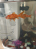 森森 小鲤鱼缸过滤器净水循环三合一内置水族箱过滤系统XQP-500F 6W 实拍图