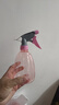 喷壶浇花浇水喷雾器气压式喷水壶家用园艺养花500ml 南瓜喷壶透粉【3个装】 实拍图