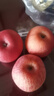 京觅 东北鸡心果3斤装 生鲜水果 海棠果小苹果现摘先发 源头直发 实拍图