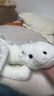 景森小飞龙玩偶睡觉抱枕恐龙毛绒玩具夹腿抱睡公仔女生床上专用大娃娃 白色款 超大号全长约150cm 实拍图
