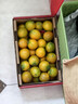京鲜生 融安金桔/脆蜜金柑  净重2斤 单果22g起 生鲜水果礼盒  实拍图