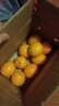 江西赣南脐橙 橙子纽荷尔甜橙水果甜橙子现摘当季正箱新鲜水果 4.5斤装 净重 （单果130g起） 实拍图