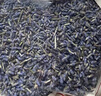 古养斋薰衣草250克 新疆薰衣草中药材天然无杂质干货 干花粒泡茶养生 实拍图