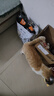 亿迪 猫粮10斤幼猫成猫老年全价全阶段蓝猫英短通用粮大包装 实拍图