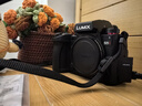 松下S5M2（20-60mm+50mm）（Panasonic）S5二代 全画幅微单相机 约2420万有效像素 新相位混合对焦 实拍图