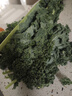羽衣甘蓝新鲜生鲜蔬菜嫩叶甘兰芥蓝西餐沙拉榨汁减肥减脂 羽衣甘蓝减脂尝鲜装1斤 实拍图