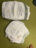 babycare金山茶花拉拉裤XL34片(12-17kg)婴儿尿不湿超薄透气新生柔花苞裤 实拍图