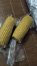 当季新货头茬东北黄甜糯玉米棒真空包装低脂黄糯大棒甜东北黏苞米 黑土地黄糯玉米【120-160克】2根 实拍图