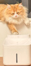 米家智能宠物饮水机2 小米猫咪宠物饮水机滤芯套装 四重过滤 净水软水 实拍图
